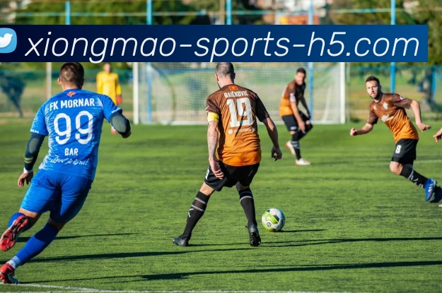 多媒体互动体验