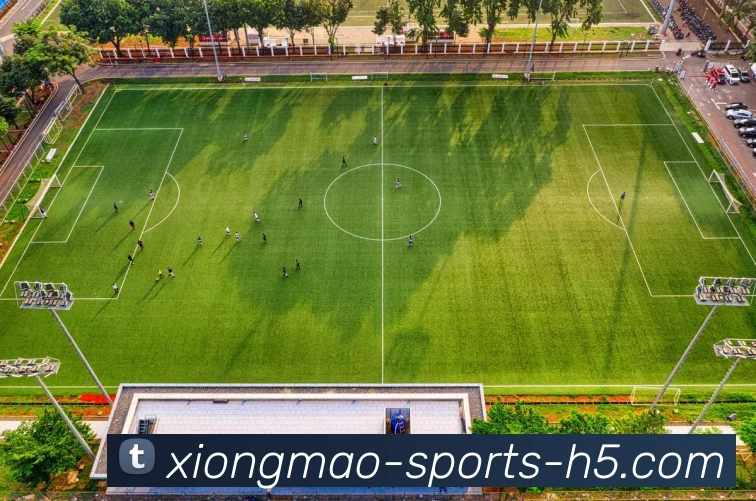 数据防护可视化